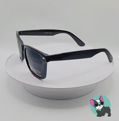 Classic sunglasses